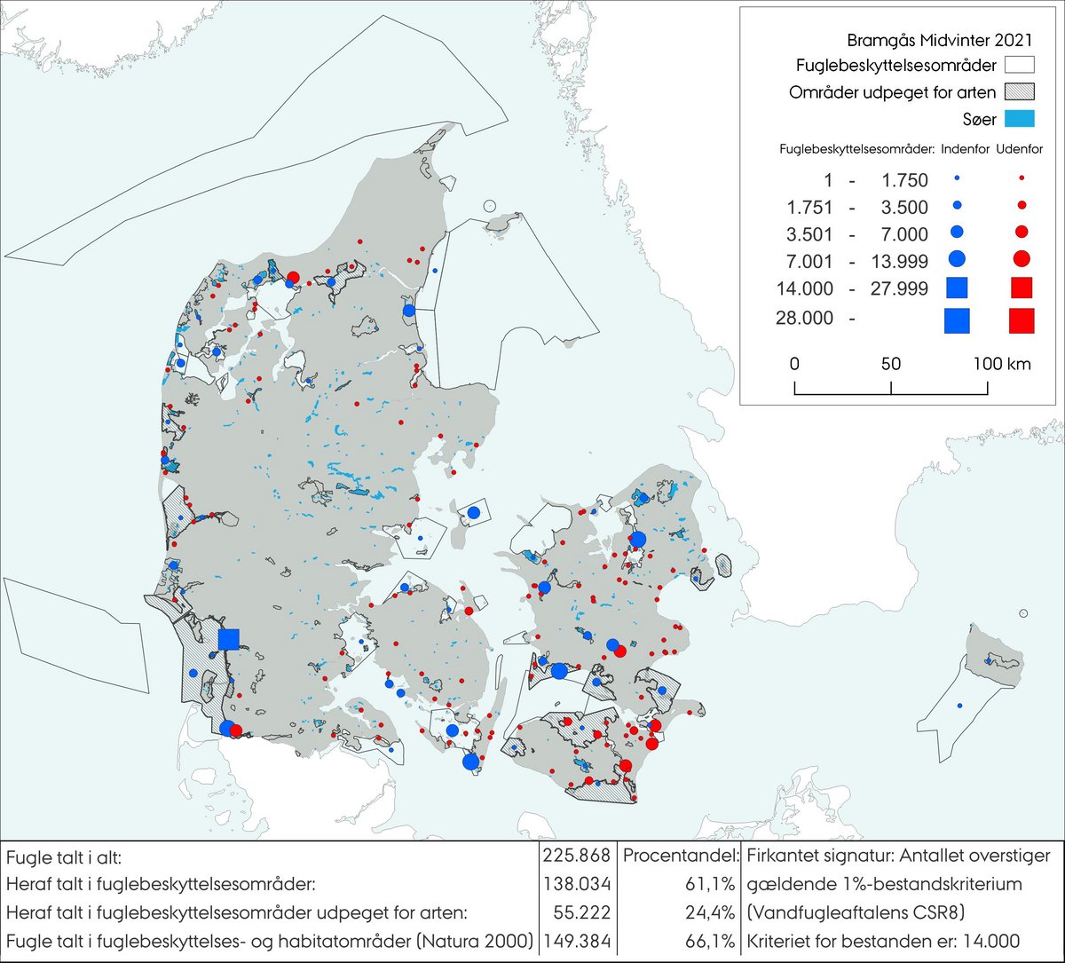 Midvintertælling bramgås 2021