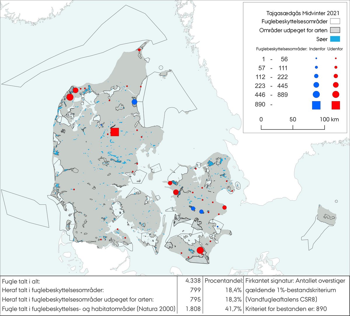 Midvintertælling tajgasædgås 2021