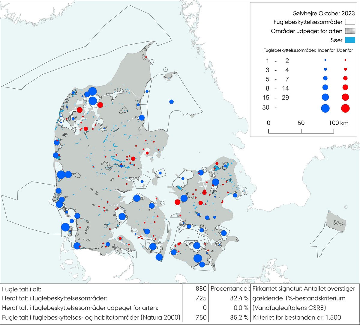 Sølvhejre okt 2023 sum