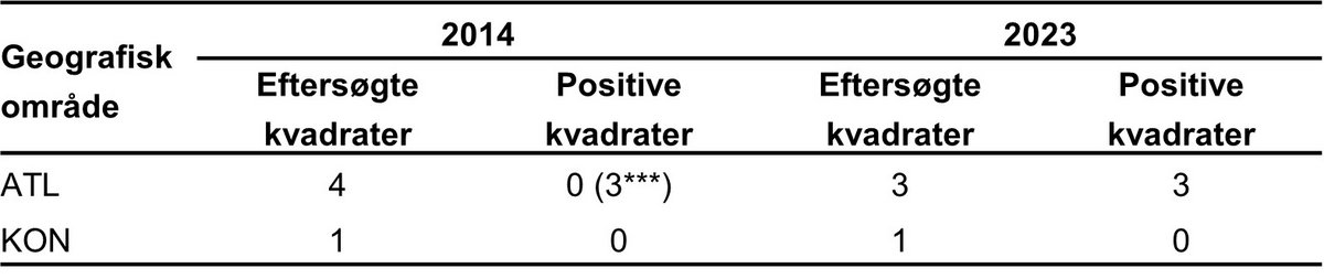 Dyndsmerling fund 2024
