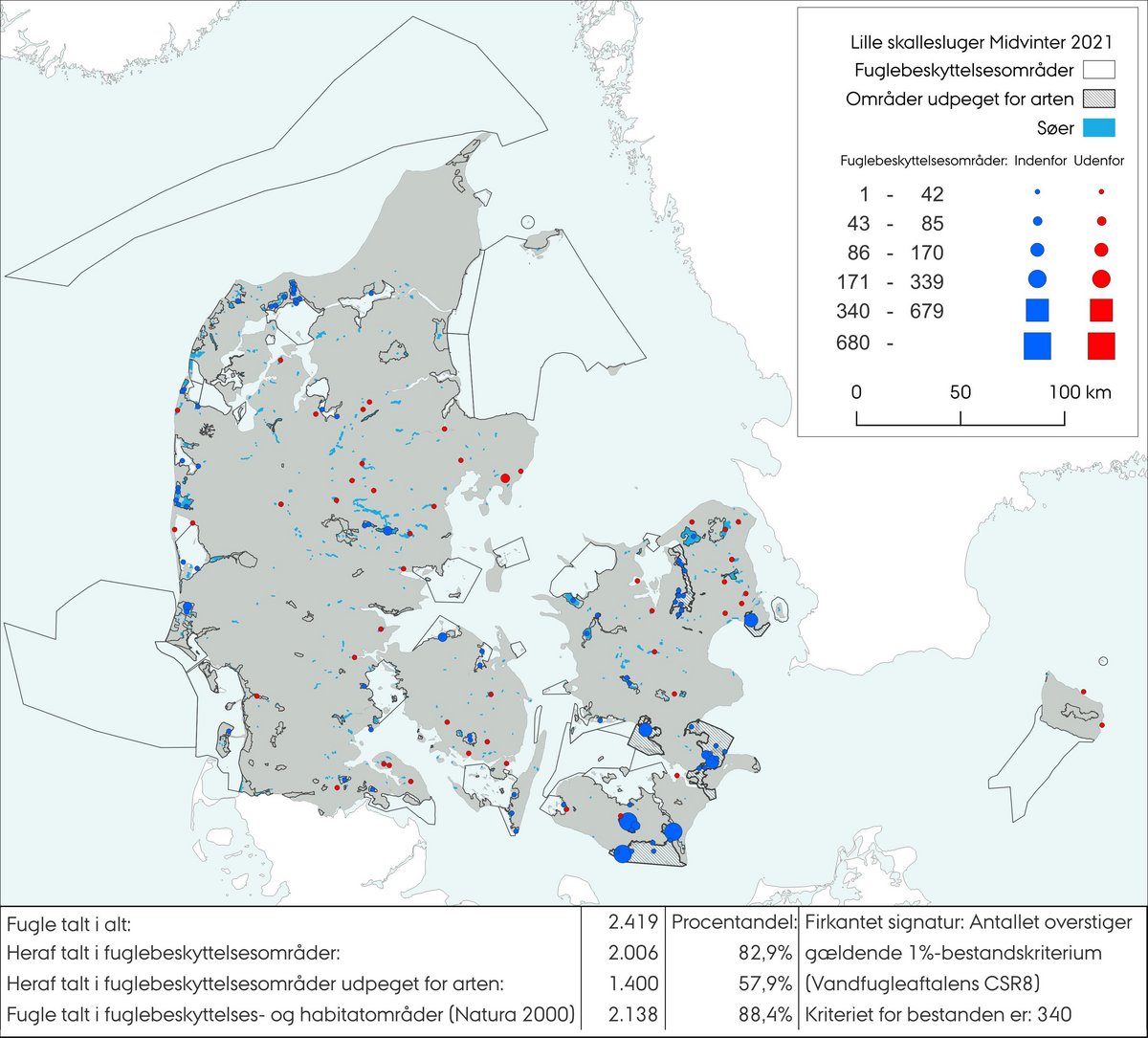 Lille skallesluger MV 2021
