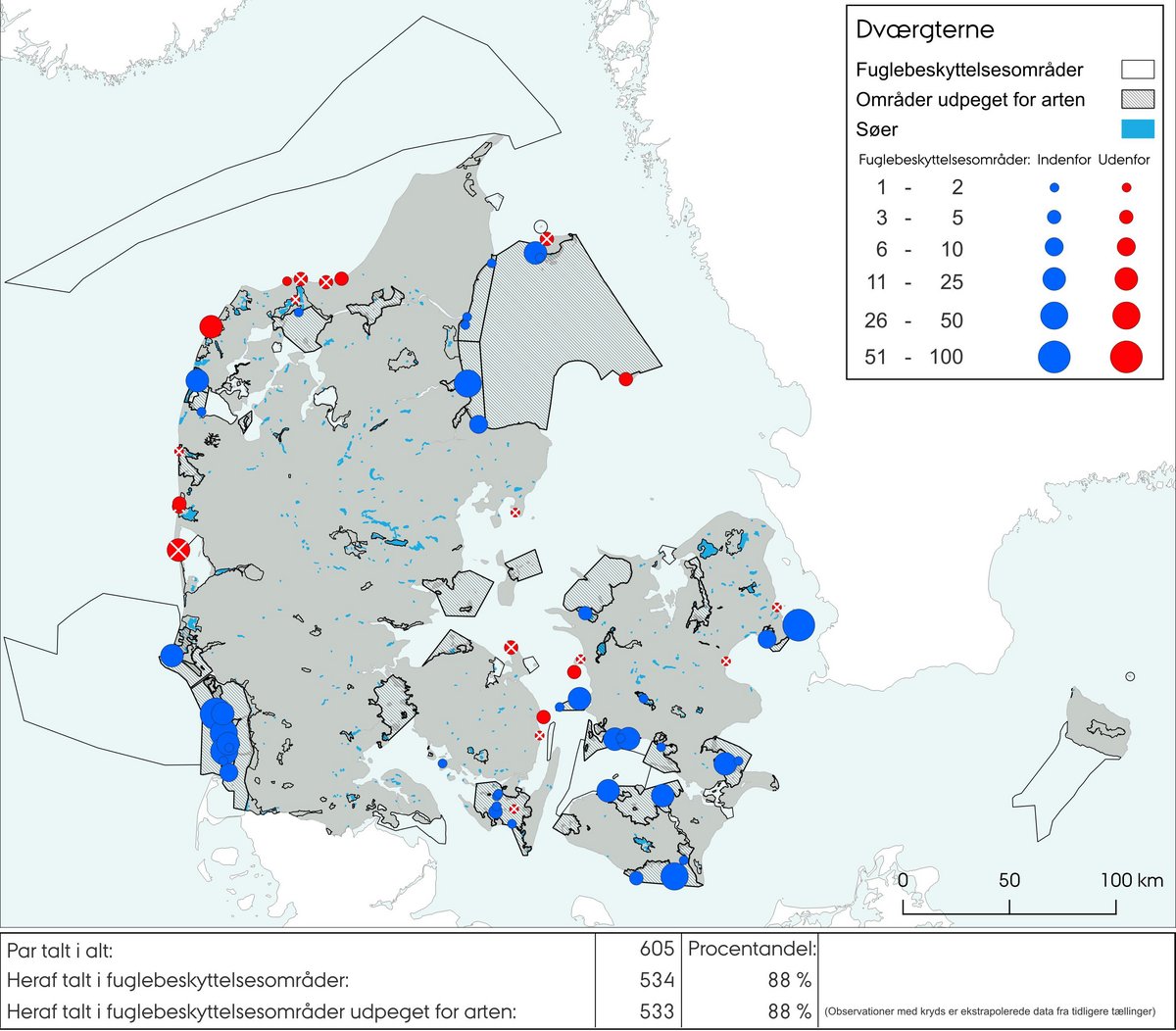 Dværgterne ynglende 2023