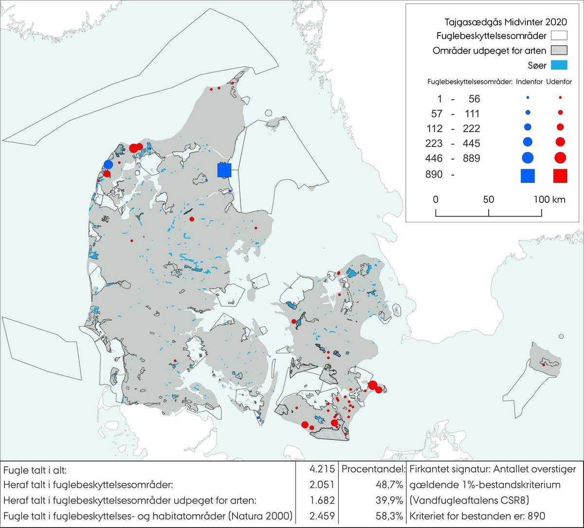 Midvintertælling tajgasædgås 2020