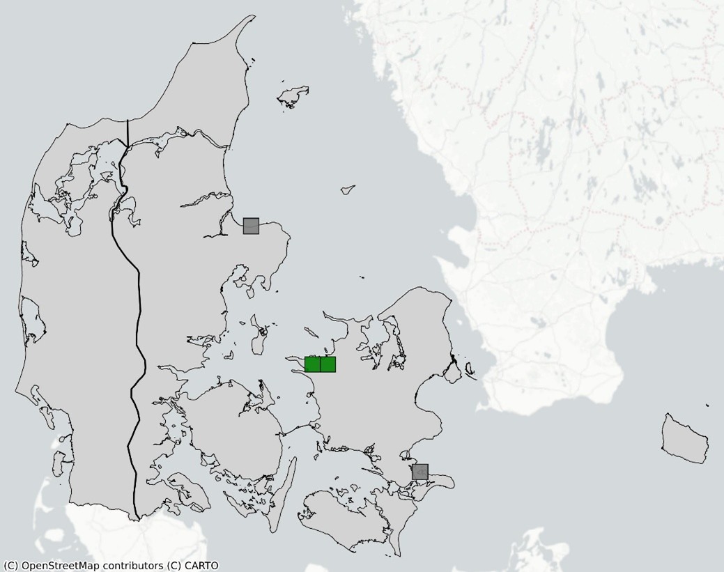 Enkelt månerude kort 2024