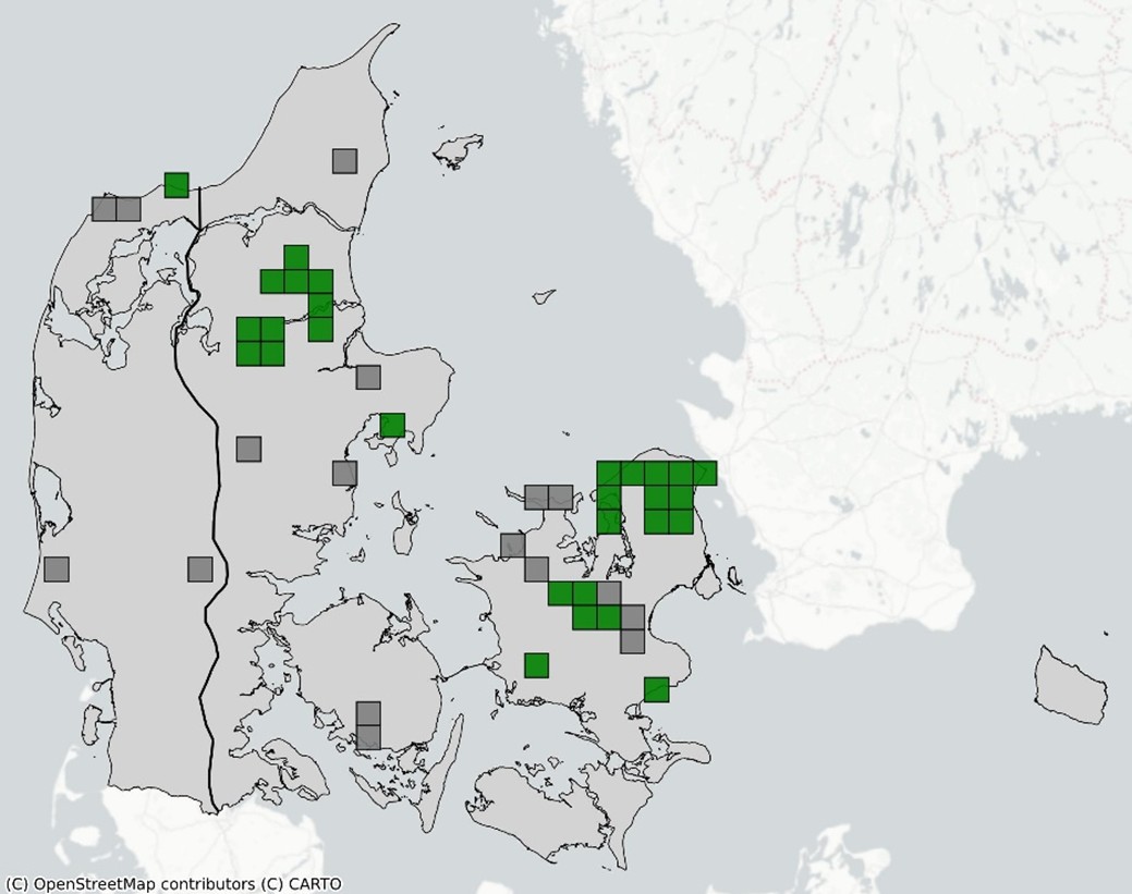 Grøn buxbaumia kort 2024