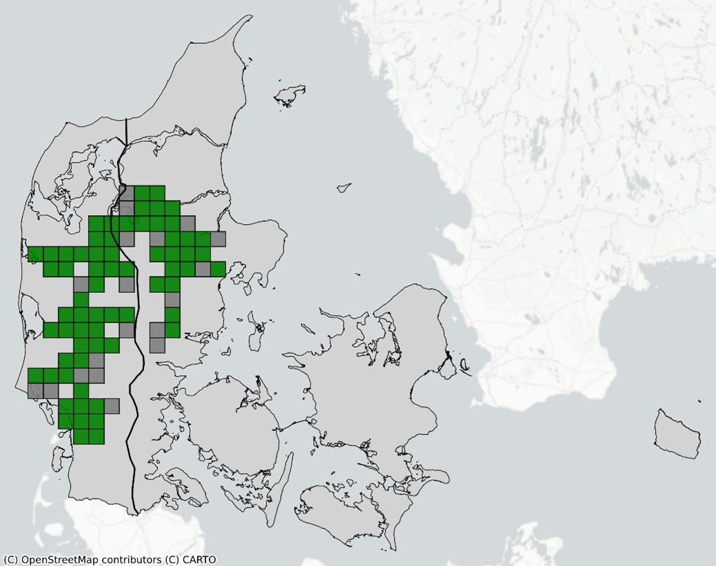 Grøn kølleguldsmed kort 2024