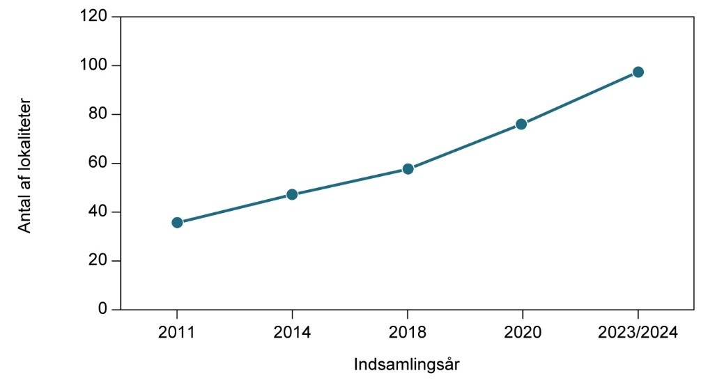 Grøn kølleguldsmed udvikling 2024