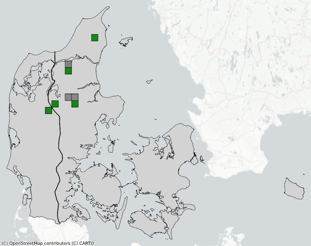 Gul stenbræk kort 2024