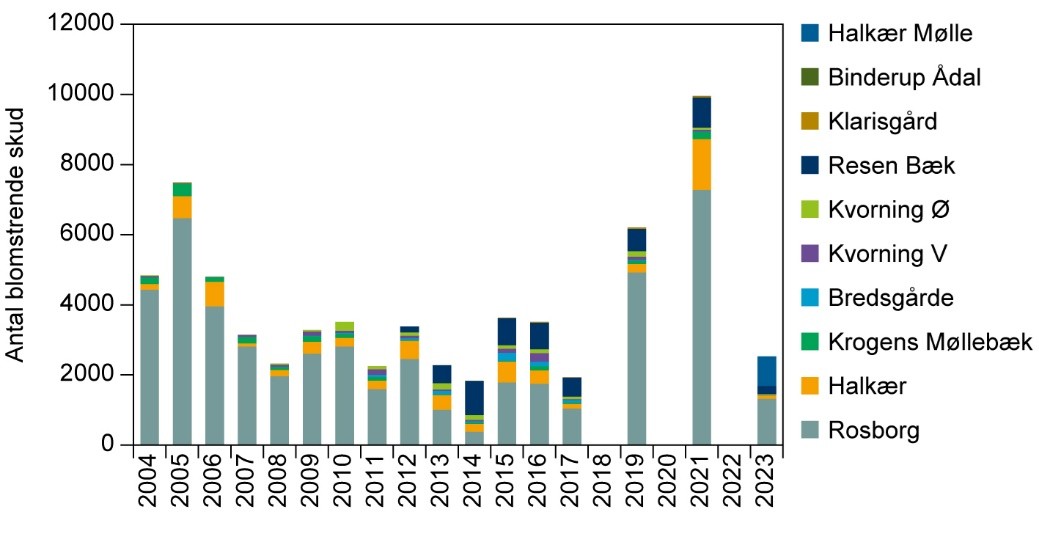 Gul stenbræk resultater 2024