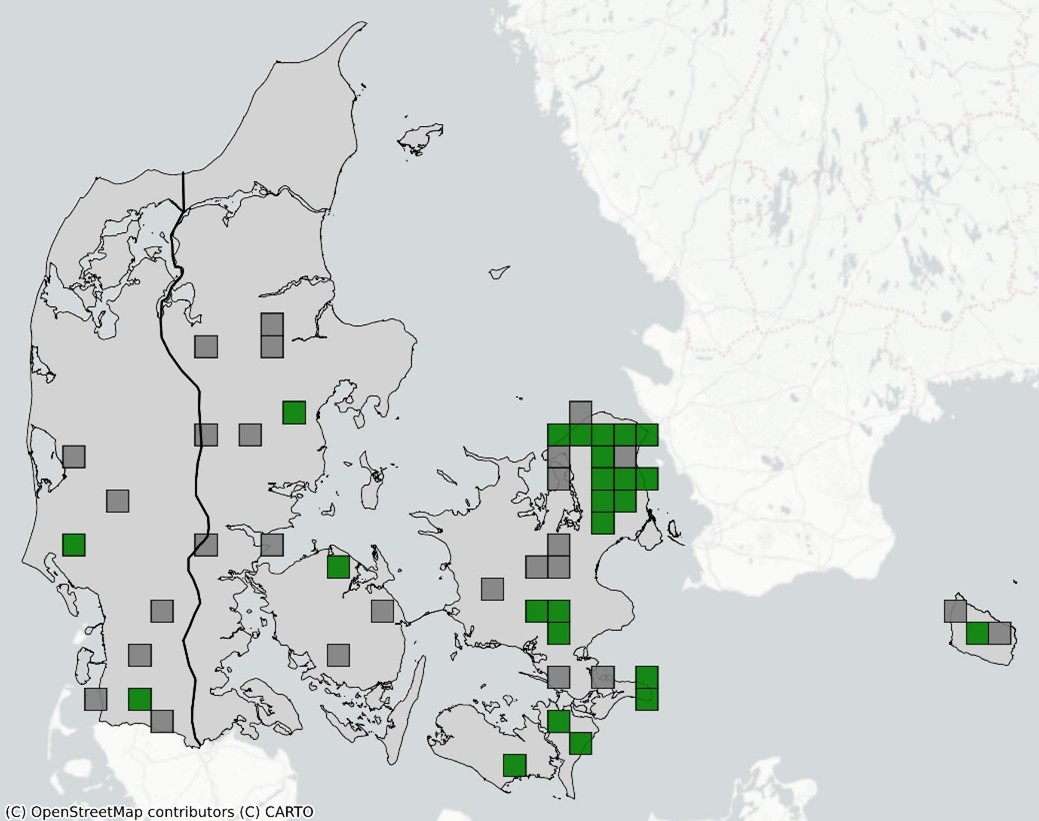 Stor kærguldsmed 2024