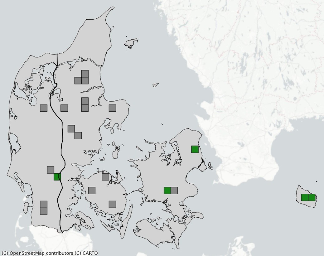 Lys skivevandkalv kort 2024