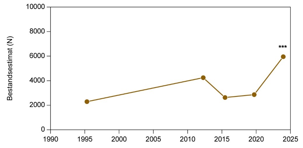 Gydebestand Vidå 2024