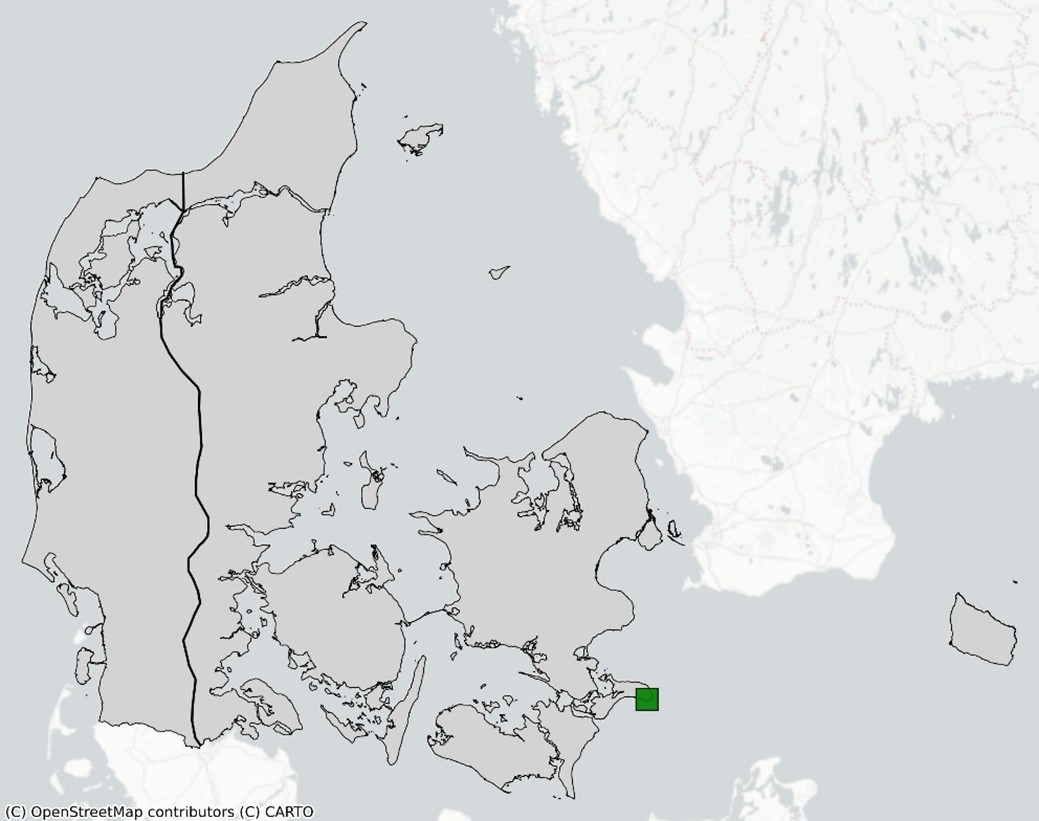 Sortplettet blåfugl kort 2024